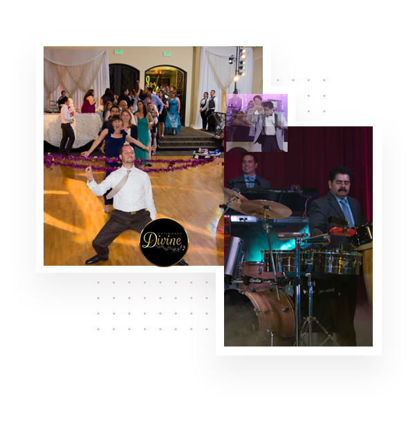 Latin Bands for hire los angeles